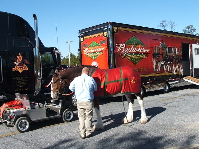 Budweiser nadal z USA