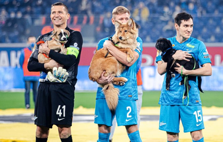 Zenit ze specjalną akcją zachęcającą adopcje psów!