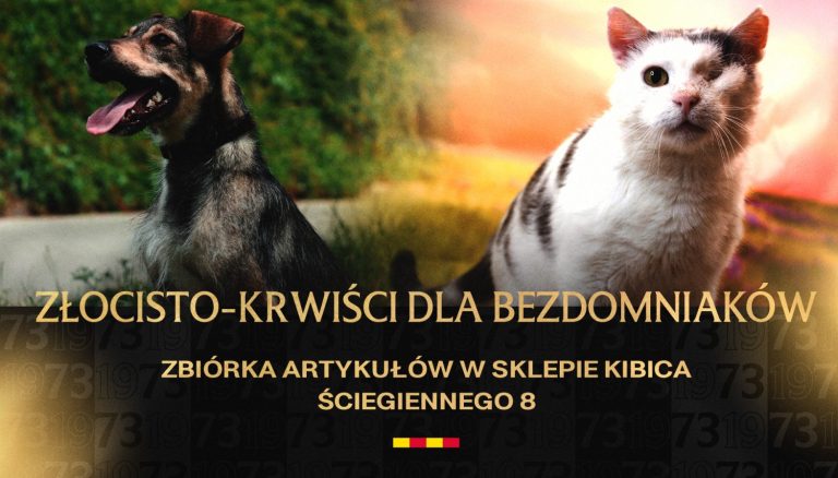 Korona Kielce pomaga bezdomnym zwierzętom