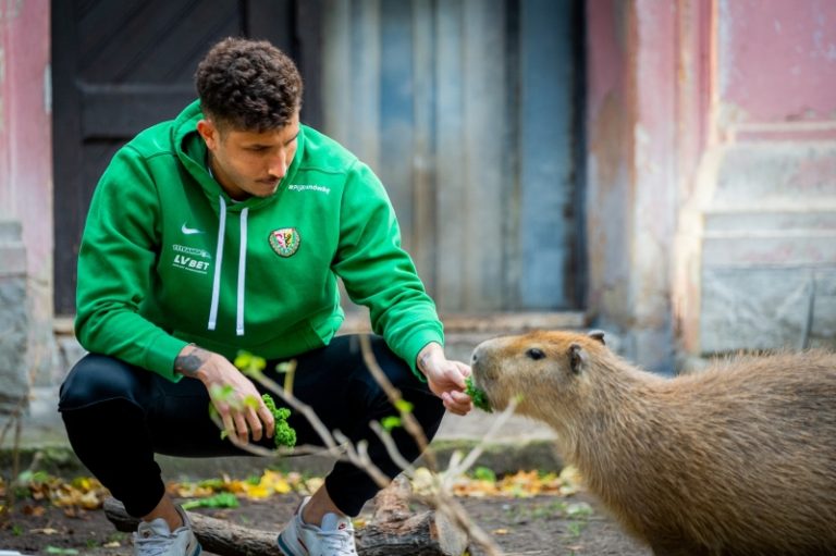 Piłkarze Śląska Wrocław odwiedzili wrocławskie ZOO